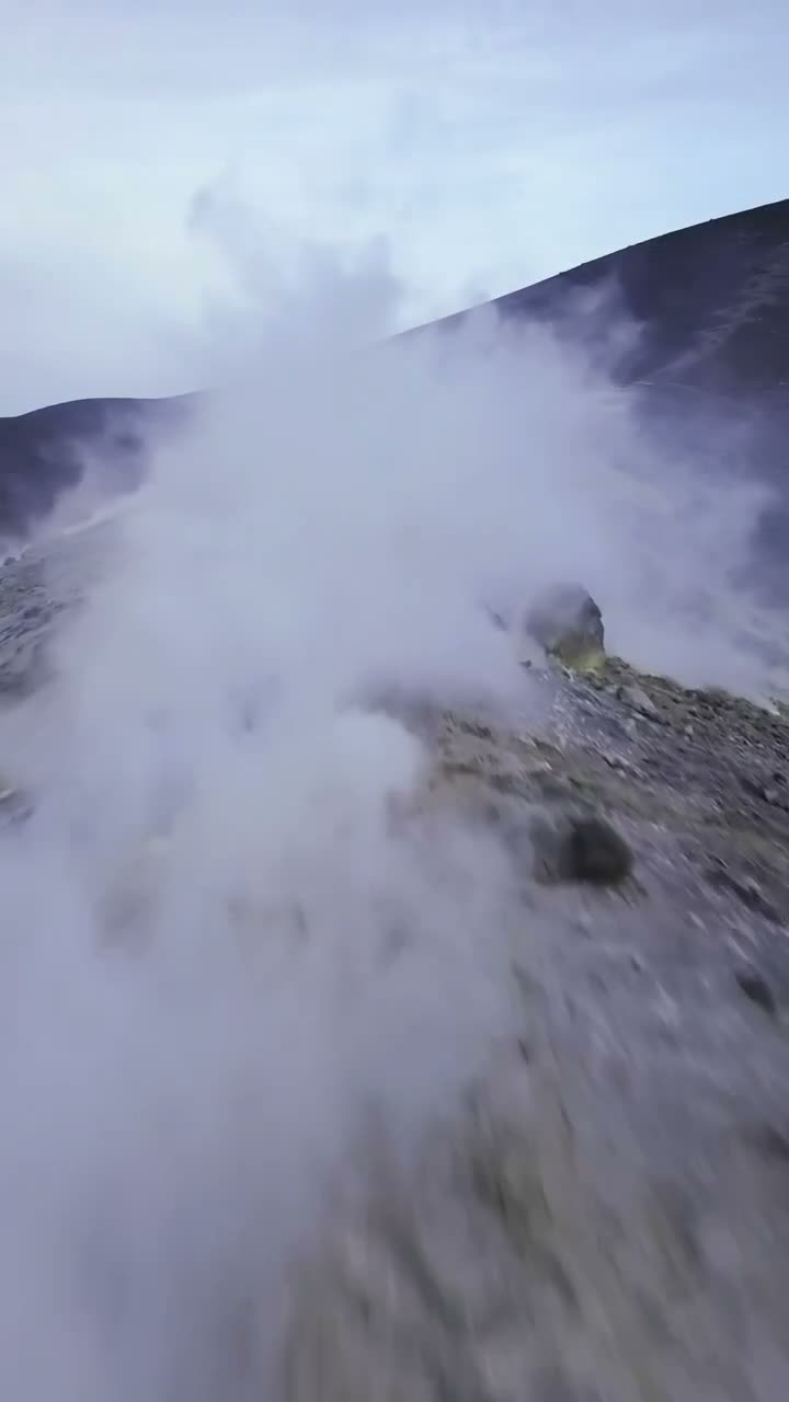 Регата
